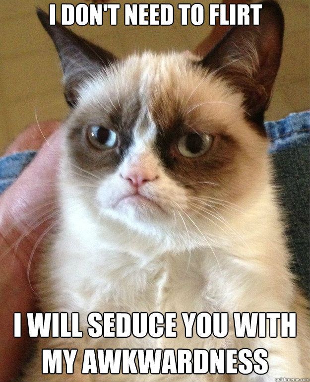I don't need to flirt I will seduce you with my awkwardness - I don't need to flirt I will seduce you with my awkwardness  Misc