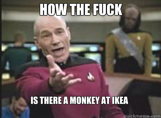 How the fuck is there a monkey at ikea  What the Fuck