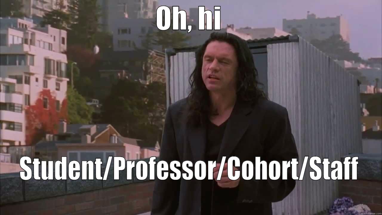 OH, HI STUDENT/PROFESSOR/COHORT/STAFF Misc