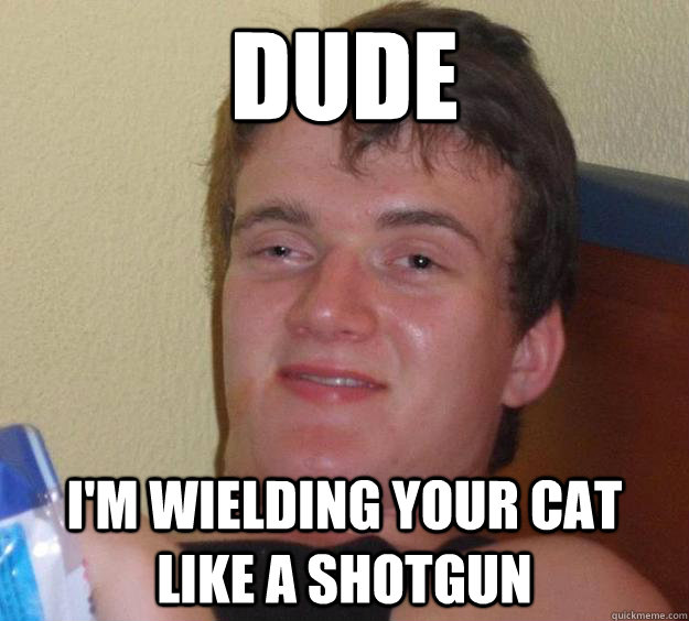 Dude I'm wielding your cat like a shotgun  - Dude I'm wielding your cat like a shotgun   10 Guy