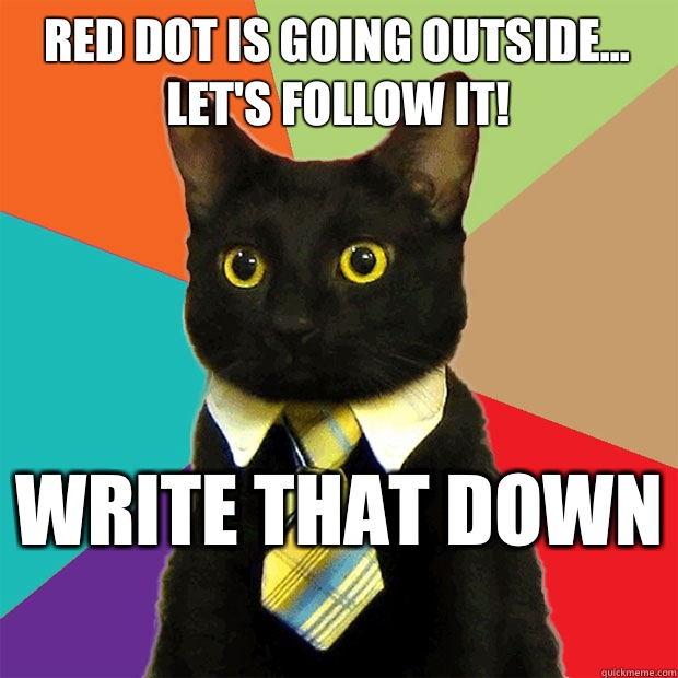 Red Dot is going outside...
Let's follow it! Write that down  - Red Dot is going outside...
Let's follow it! Write that down   Business Cat