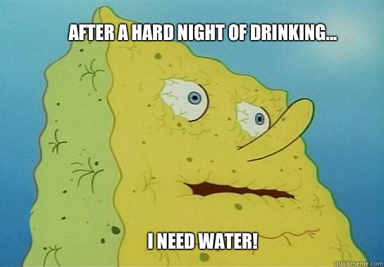 After a hard night of drinking...








I NEED WATER!  