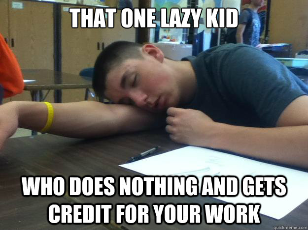 that one lazy kid who does nothing and gets credit for your work  Lazy Student