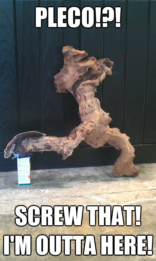 Pleco!?! Screw that! I'm outta here! - Pleco!?! Screw that! I'm outta here!  Misc