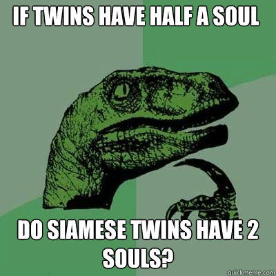 IF TWINS HAVE HALF A SOUL DO SIAMESE TWINS HAVE 2 SOULS?  Philosorapter