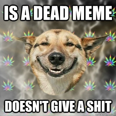 Is a dead meme Doesn't give a shit  Stoner Dog