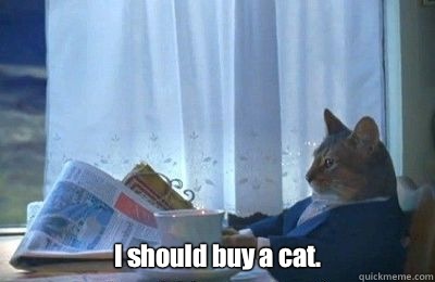  I should buy a cat.   I should buy a bike