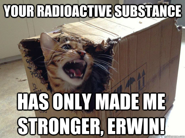 your radioactive substance has only made me stronger, erwin! - your radioactive substance has only made me stronger, erwin!  schrodinger cat