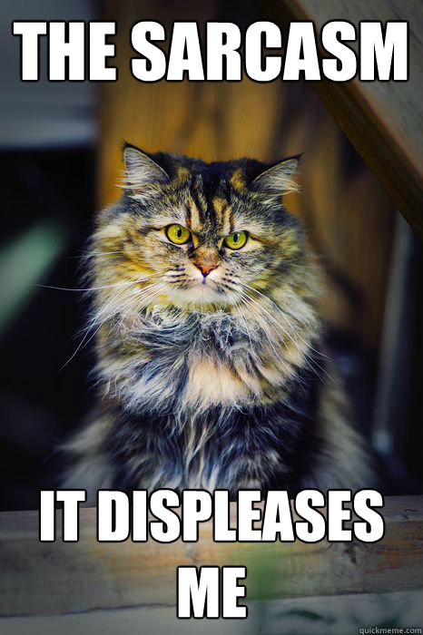 The sarcasm it displeases me  Displeased Cat