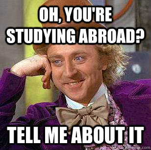 oh, you're studying abroad? Tell me about it  Condescending Wonka