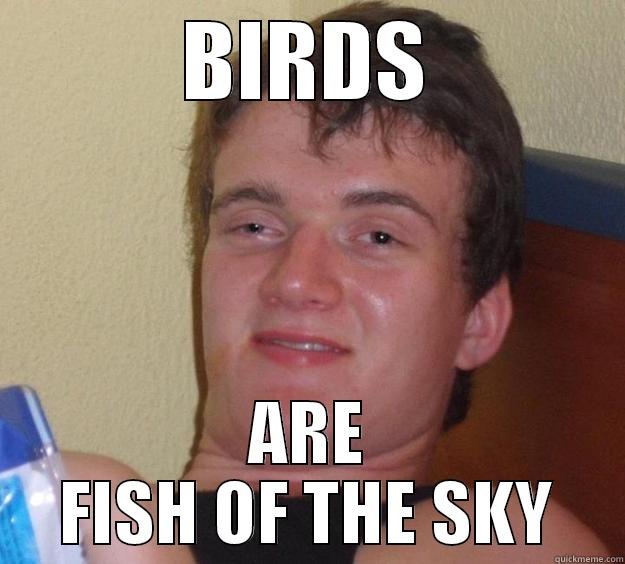 BIRDS ARE FISH OF THE SKY 10 Guy