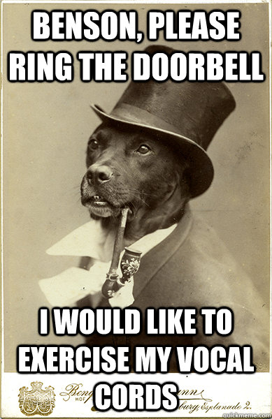 Benson, please ring the doorbell i would like to exercise my vocal cords - Benson, please ring the doorbell i would like to exercise my vocal cords  Old Money Dog