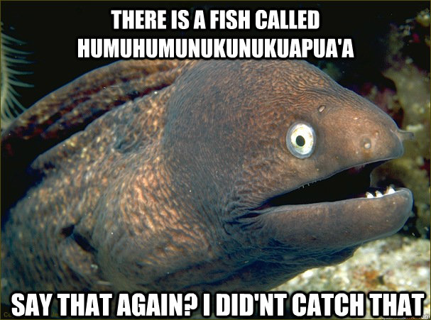 There is a fish called humuhumunukunukuapua'a Say that again? I did'nt catch that - There is a fish called humuhumunukunukuapua'a Say that again? I did'nt catch that  Bad Joke Eel