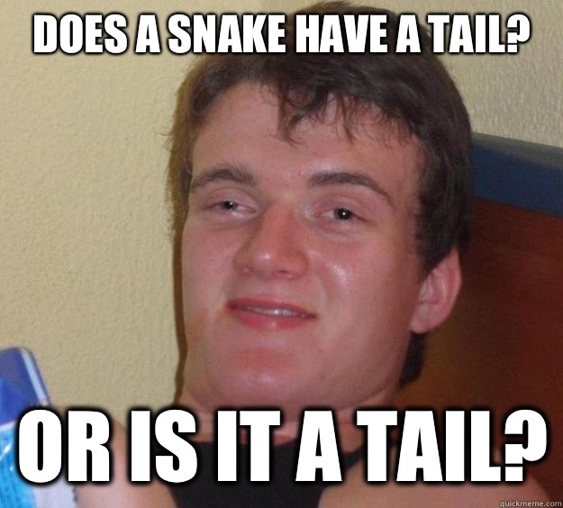Does a snake have a tail? Or is it a tail?  10 Guy