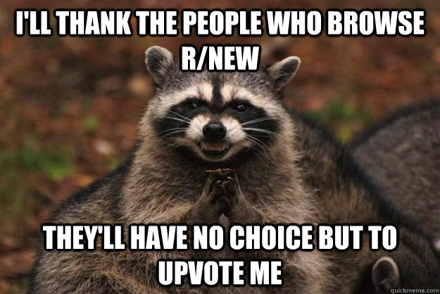 I'll thank the people who browse r/new They'll have no choice but to upvote me  Evil Plotting Raccoon