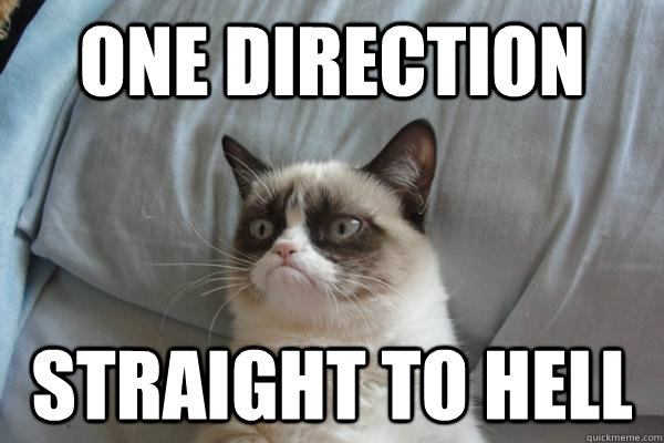 One direction straight to hell  