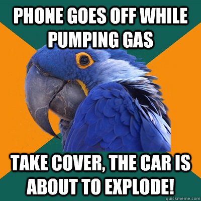 phone goes off while pumping gas take cover, the car is about to explode!  Paranoid Parrot