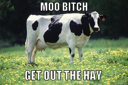                     MOO BITCH                                  GET OUT THE HAY             Misc