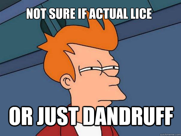 NOT SURE IF ACTUAL LICE OR JUST DANDRUFF - NOT SURE IF ACTUAL LICE OR JUST DANDRUFF  Futurama Fry