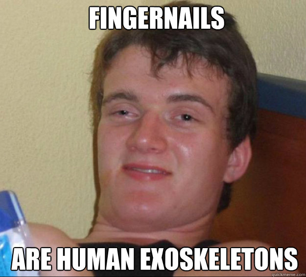 Fingernails Are human exoskeletons
  10guy