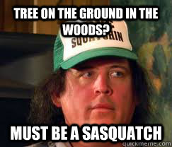 TRee on the ground in the woods? Must be a Sasquatch  - TRee on the ground in the woods? Must be a Sasquatch   Bobo
