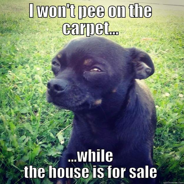 I WON'T PEE ON THE CARPET... ...WHILE THE HOUSE IS FOR SALE Skeptical Dog