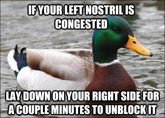 If your left nostril is congested Lay down on your right side for a couple minutes to unblock it  Actual Advice Mallard