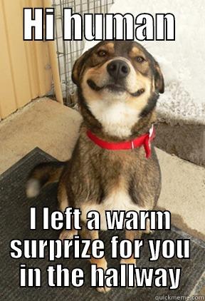   HI HUMAN     I LEFT A WARM SURPRISE FOR YOU IN THE HALLWAY Good Dog Greg