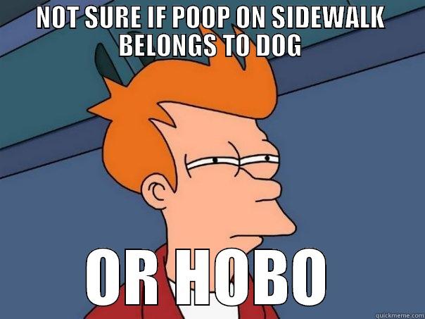 NOT SURE IF POOP ON SIDEWALK BELONGS TO DOG OR HOBO Futurama Fry