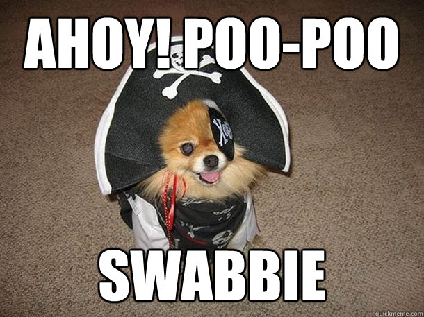Ahoy! Poo-Poo Swabbie  Inappropriate Sexual Innuendo Dog That Talks and Dresses Like a Pirate