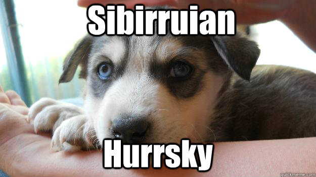 Sibirruian  Hurrsky - Sibirruian  Hurrsky  Derp