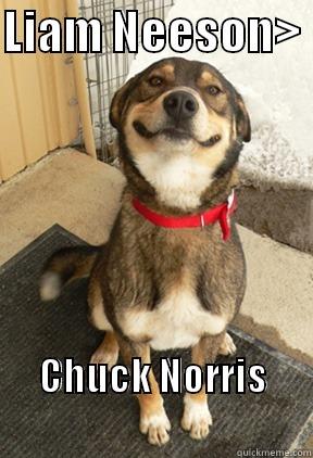 LIAM NEESON>  CHUCK NORRIS                             Good Dog Greg