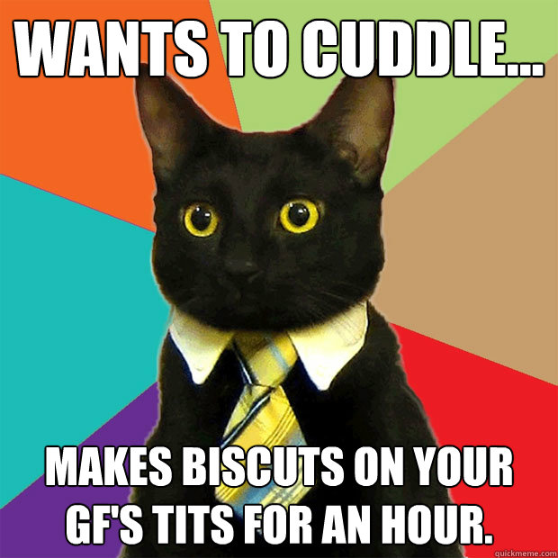Wants to cuddle... Makes biscuts on your GF's Tits for an hour.  Business Cat