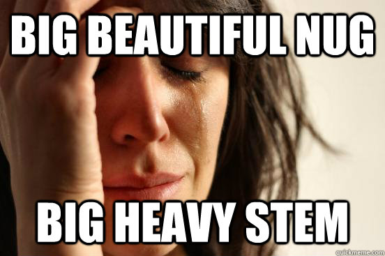 Big beautiful nug big heavy stem  First World Problems