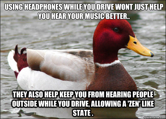 Using headphones while you drive wont just help you hear your music better..
 They also help keep you from hearing people outside while you drive, allowing a 'zen' like state .   Malicious Advice Mallard