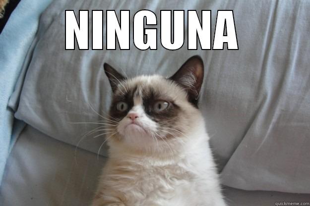 NINGUNA  Grumpy Cat