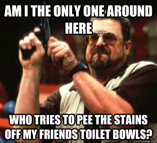 Am i the only one around here who tries to pee the stains off my friends toilet bowls?  Am I The Only One Around Here