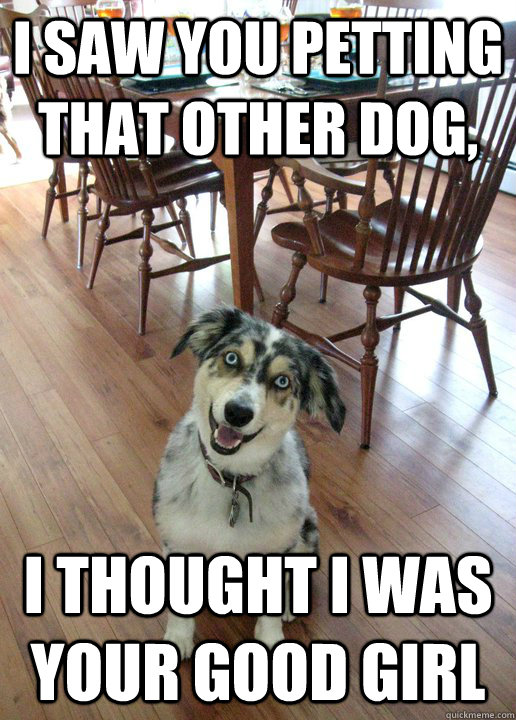 I saw you petting that other dog, i thought i was your good girl  