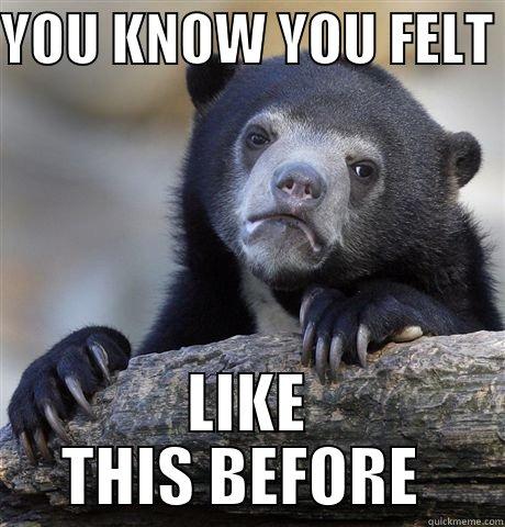 YOU KNOW YOU FELT  LIKE THIS BEFORE  Confession Bear