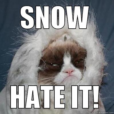SNOW HATE IT! Misc