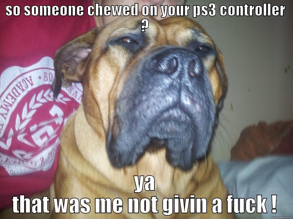 SO SOMEONE CHEWED ON YOUR PS3 CONTROLLER ? YA THAT WAS ME NOT GIVIN A FUCK ! Misc