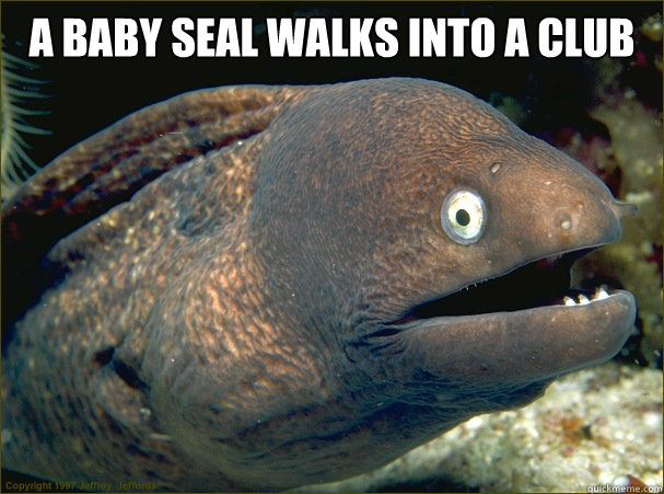 a baby seal walks into a club  - a baby seal walks into a club   Misc