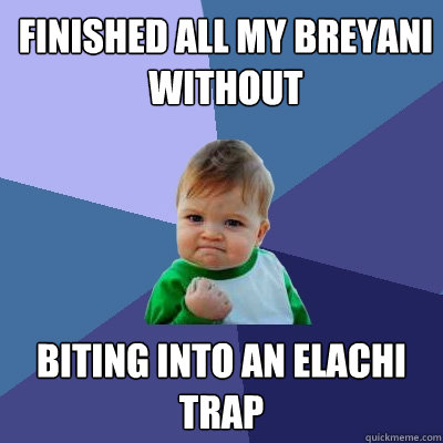 Finished all my breyani without biting into an elachi trap  Success Kid