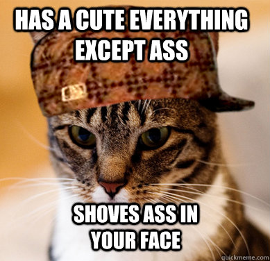 Has a cute everything except ass shoves ass in your face   Scumbag Cat