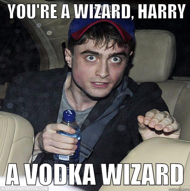 Vodka Wizard -   YOU'RE A WIZARD, HARRY    A VODKA WIZARD Misc