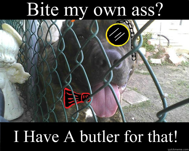 Bite my own ass? I Have A butler for that! - Bite my own ass? I Have A butler for that!  Condescending Canine.
