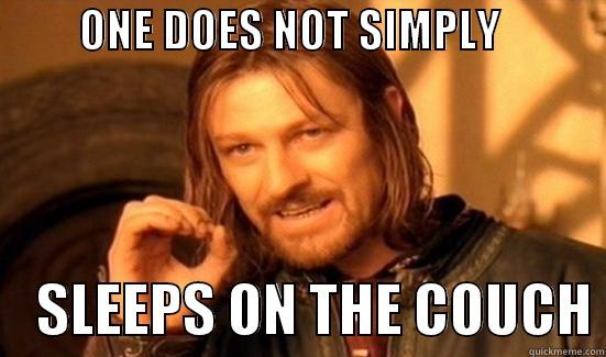          ONE DOES NOT SIMPLY                 SLEEPS ON THE COUCH Boromir