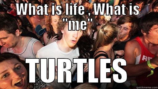 WHAT IS LIFE , WHAT IS 