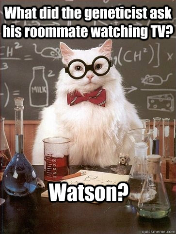 What did the geneticist ask his roommate watching TV? Watson?  Chemistry Cat