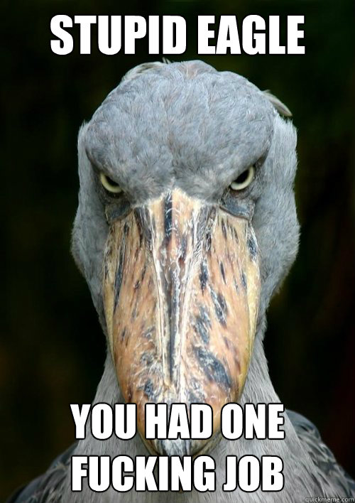stupid eagle you had one fucking job  
